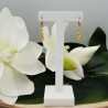 Vergulde oorbellen met zeepaard hanger