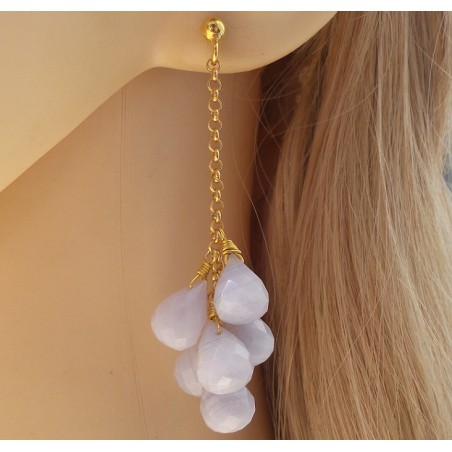 Vergulde lange oorbellen met blauw Lace Agaat briolettes