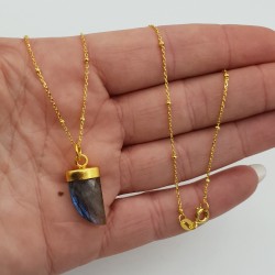 Vergulde ketting met Labradoriet hoorn hanger