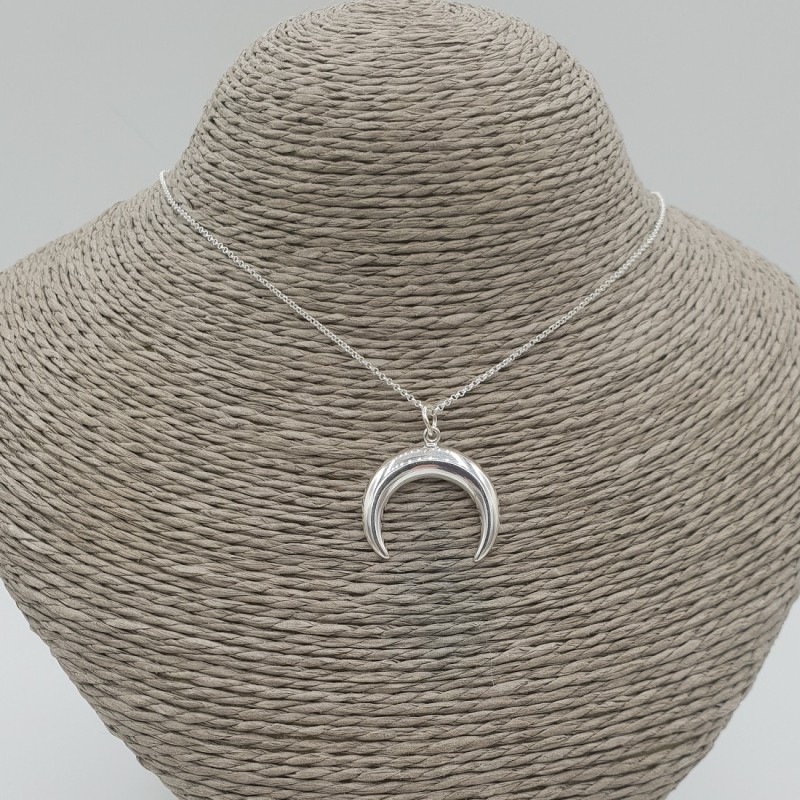 Zilveren ketting met hoorn hanger