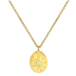 Vergulde ketting met slangen hanger