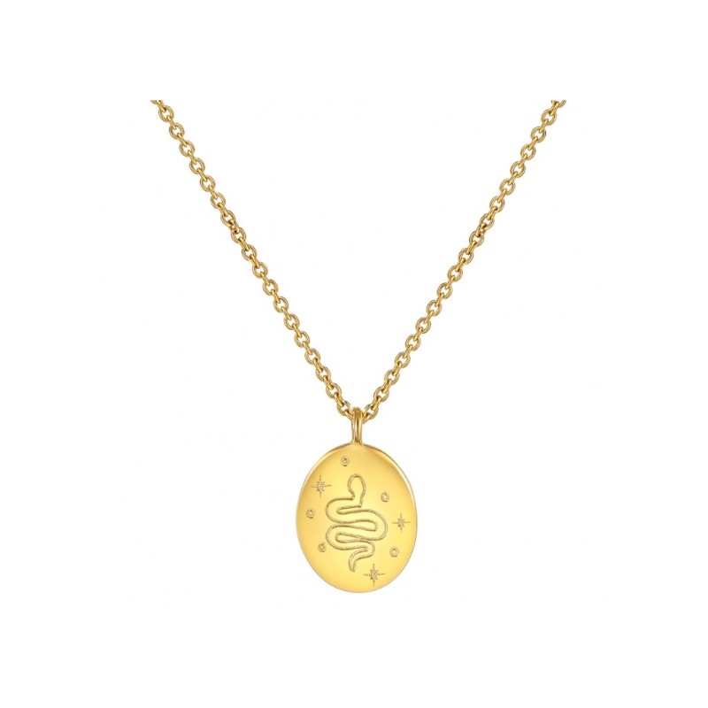 Vergulde ketting met slangen hanger