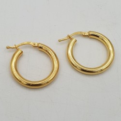 Vermeil vergulde creolen