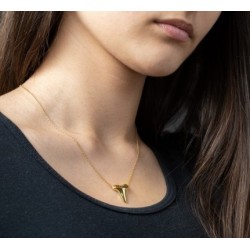 Vergulde ketting met haaientand