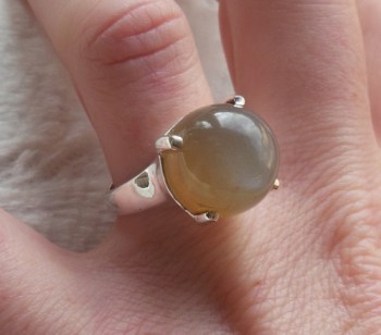 Zilveren ring gezet met ronde perzik Maansteen maat 17.3 mm