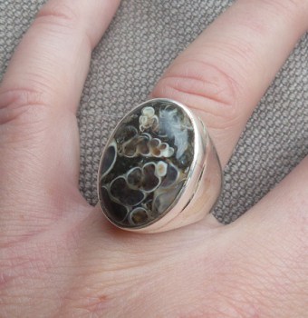 Zilveren ring gezet met Turritella Agaat maat 17.7 mm